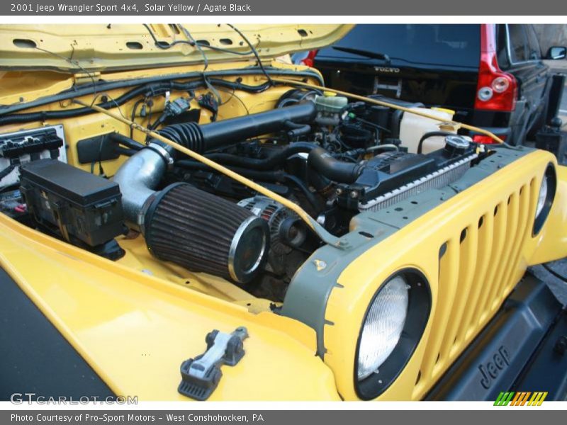 Solar Yellow / Agate Black 2001 Jeep Wrangler Sport 4x4