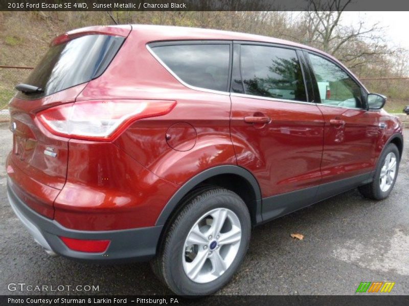 Sunset Metallic / Charcoal Black 2016 Ford Escape SE 4WD