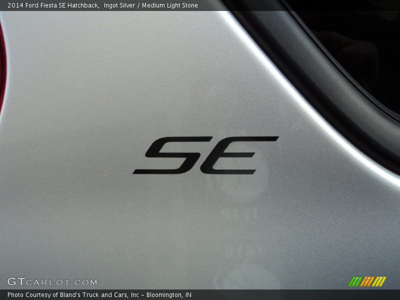 Ingot Silver / Medium Light Stone 2014 Ford Fiesta SE Hatchback