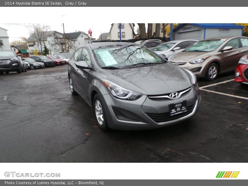 Gray / Gray 2014 Hyundai Elantra SE Sedan