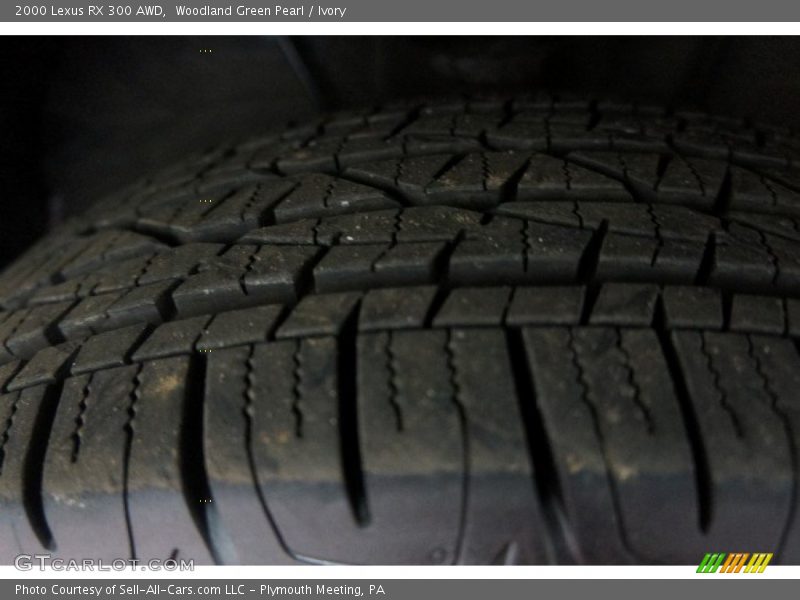 Woodland Green Pearl / Ivory 2000 Lexus RX 300 AWD