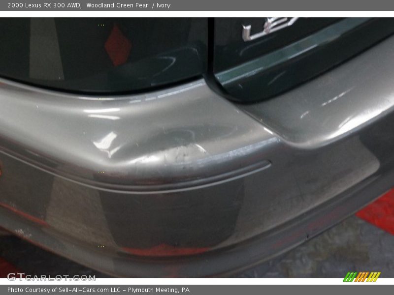 Woodland Green Pearl / Ivory 2000 Lexus RX 300 AWD