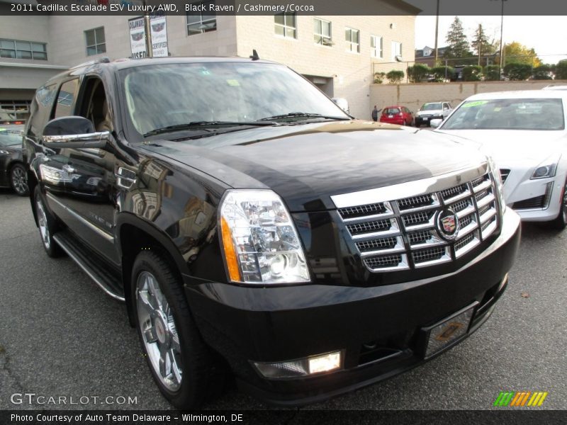 Black Raven / Cashmere/Cocoa 2011 Cadillac Escalade ESV Luxury AWD