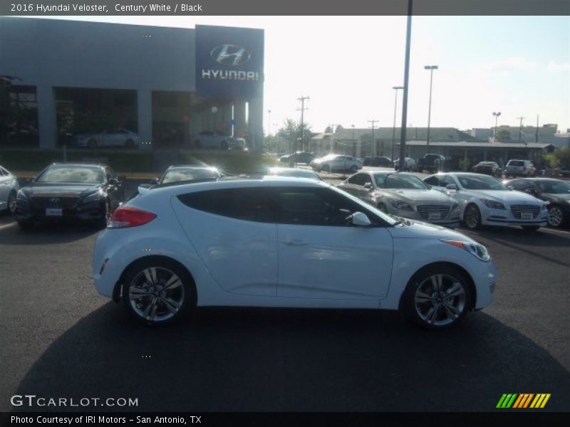 Century White / Black 2016 Hyundai Veloster