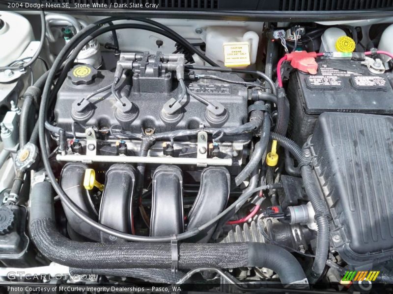 Stone White / Dark Slate Gray 2004 Dodge Neon SE