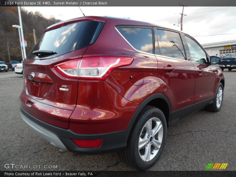 Sunset Metallic / Charcoal Black 2016 Ford Escape SE 4WD