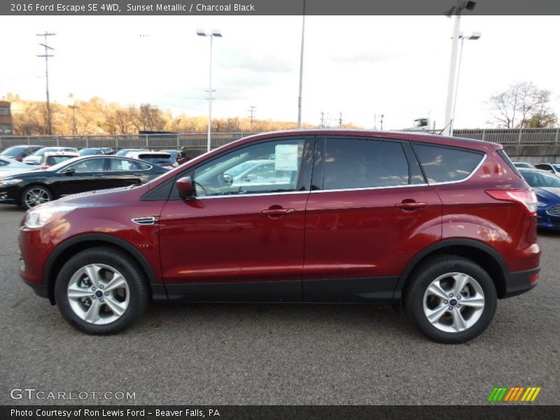 Sunset Metallic / Charcoal Black 2016 Ford Escape SE 4WD