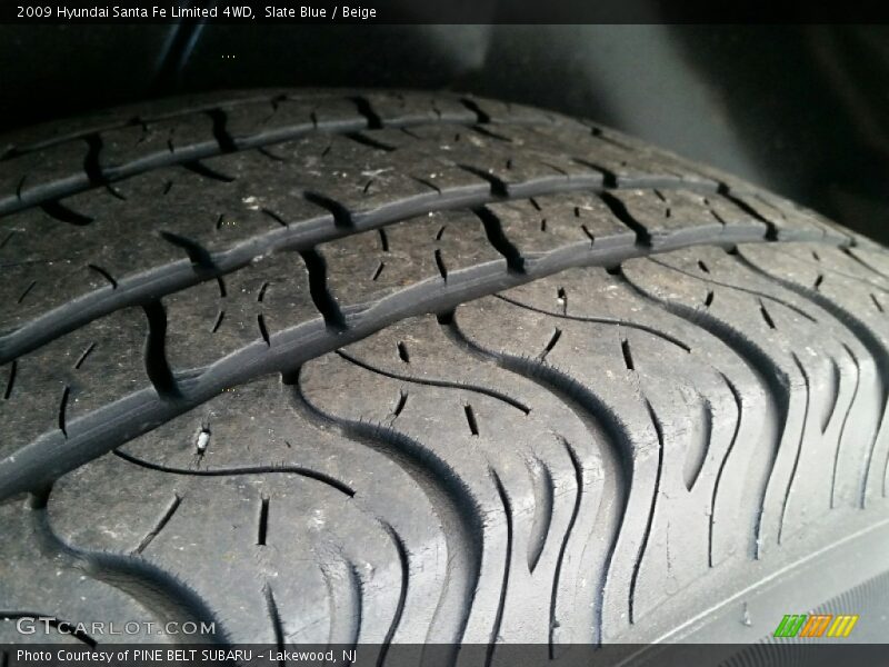 Slate Blue / Beige 2009 Hyundai Santa Fe Limited 4WD