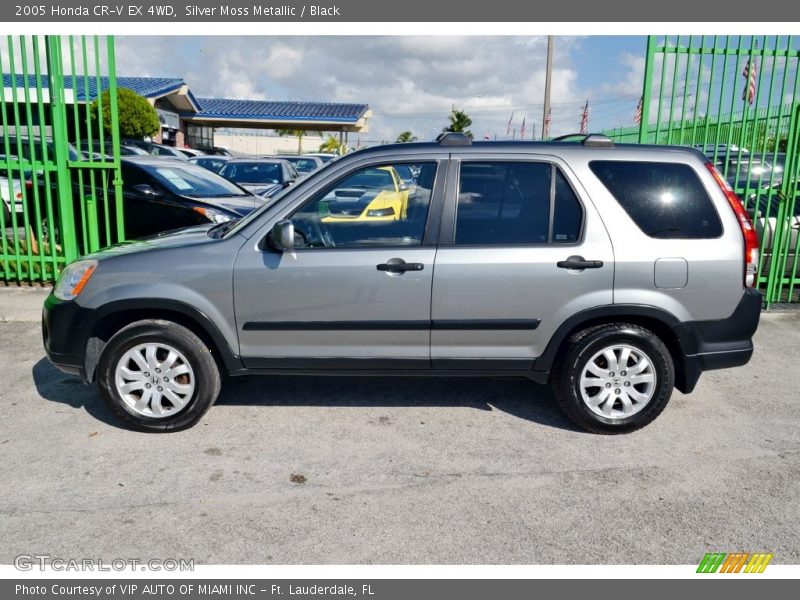 Silver Moss Metallic / Black 2005 Honda CR-V EX 4WD