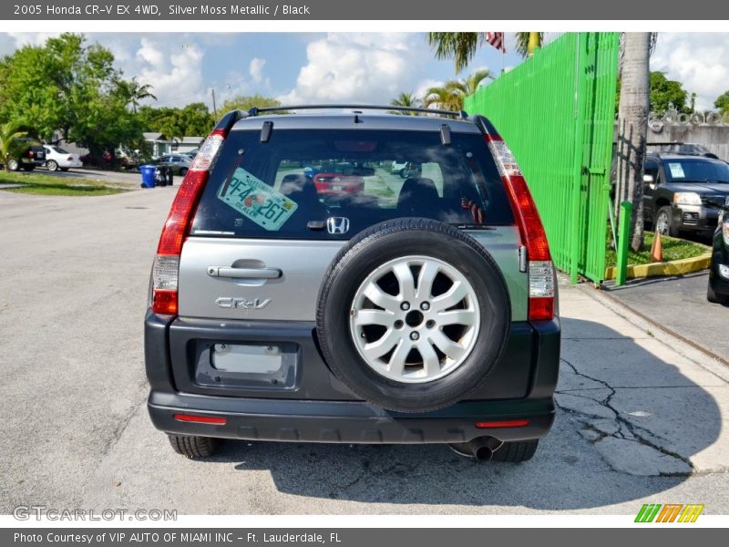 Silver Moss Metallic / Black 2005 Honda CR-V EX 4WD