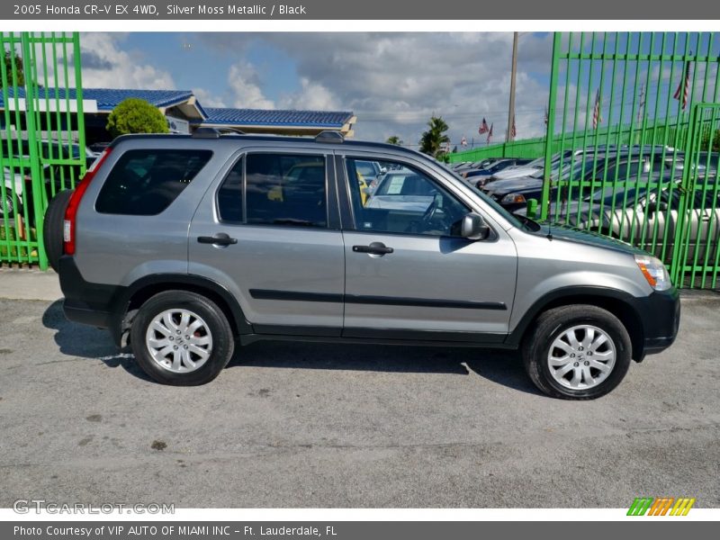 Silver Moss Metallic / Black 2005 Honda CR-V EX 4WD