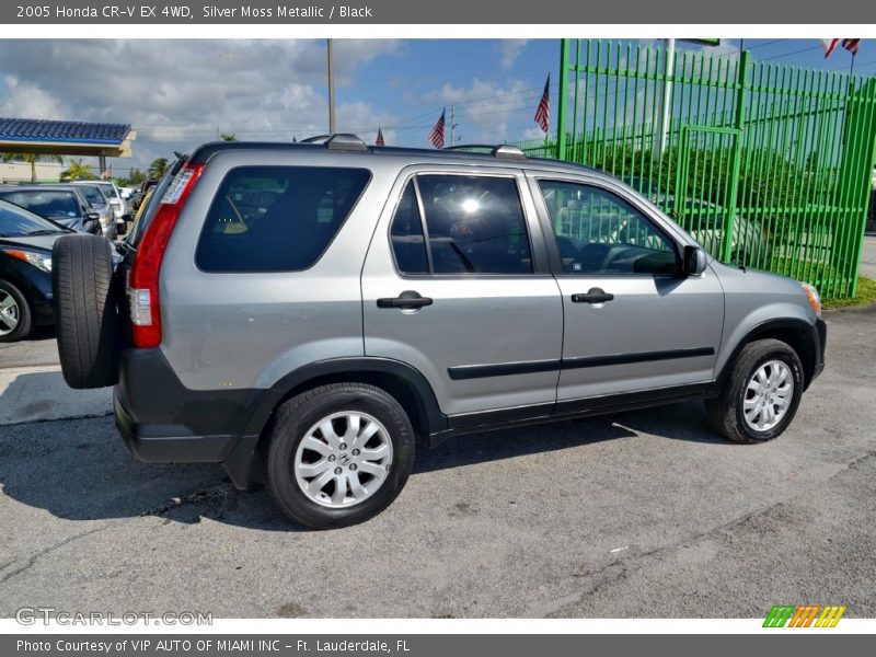 Silver Moss Metallic / Black 2005 Honda CR-V EX 4WD
