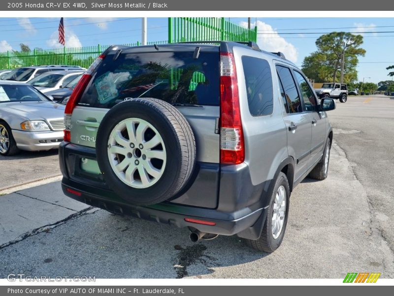 Silver Moss Metallic / Black 2005 Honda CR-V EX 4WD