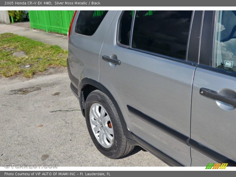 Silver Moss Metallic / Black 2005 Honda CR-V EX 4WD