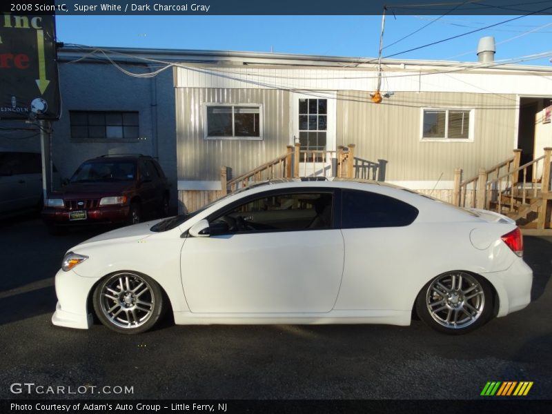 Super White / Dark Charcoal Gray 2008 Scion tC
