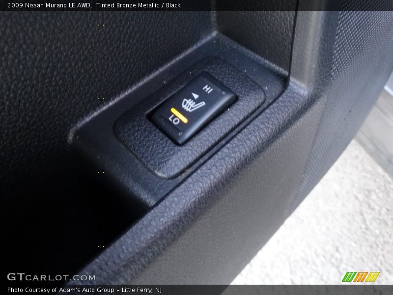 Tinted Bronze Metallic / Black 2009 Nissan Murano LE AWD