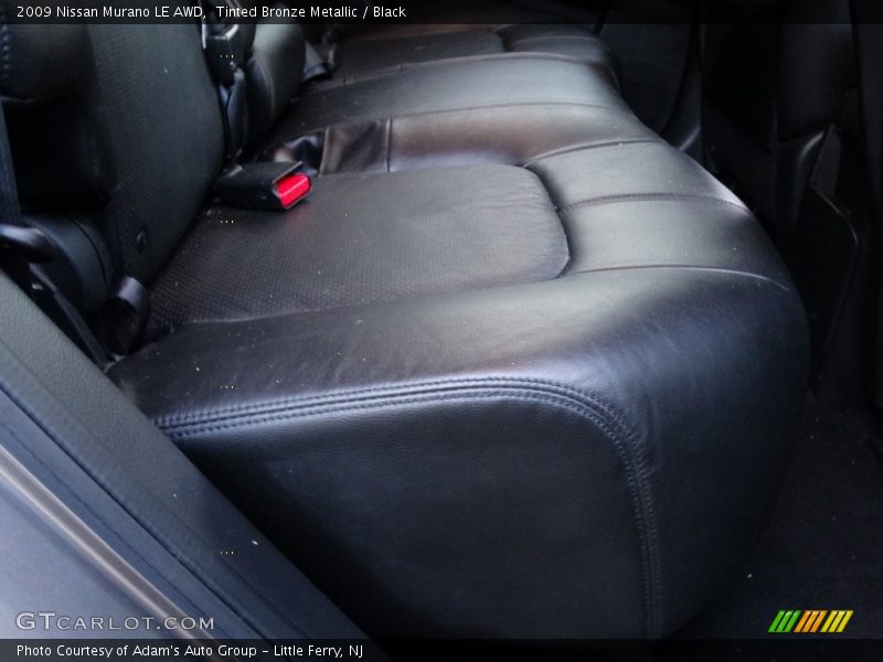 Tinted Bronze Metallic / Black 2009 Nissan Murano LE AWD