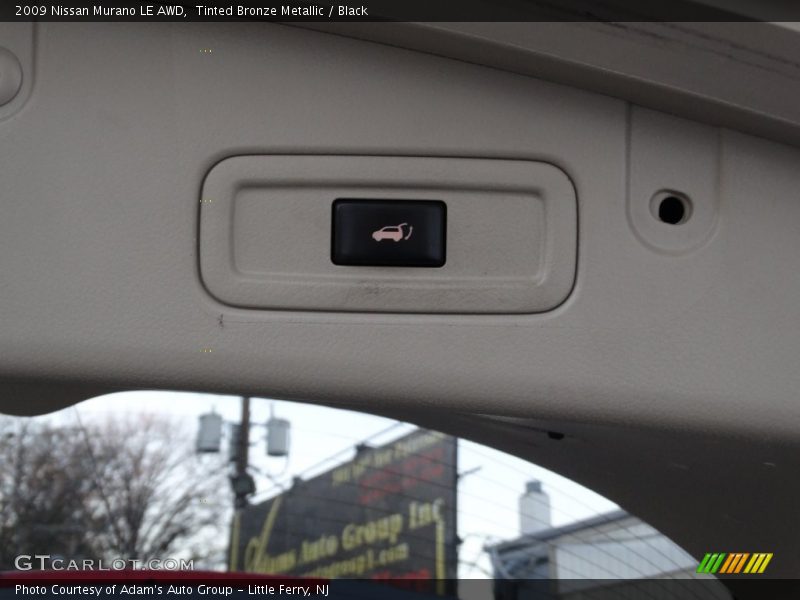 Tinted Bronze Metallic / Black 2009 Nissan Murano LE AWD