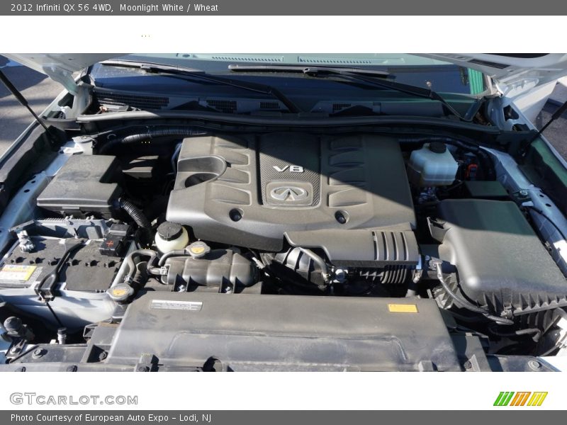 Moonlight White / Wheat 2012 Infiniti QX 56 4WD