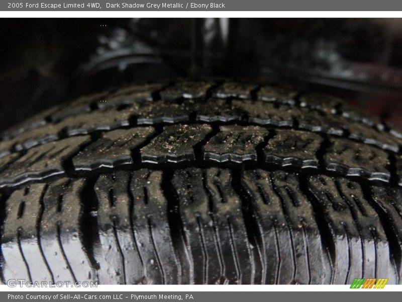 Dark Shadow Grey Metallic / Ebony Black 2005 Ford Escape Limited 4WD