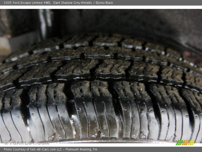 Dark Shadow Grey Metallic / Ebony Black 2005 Ford Escape Limited 4WD