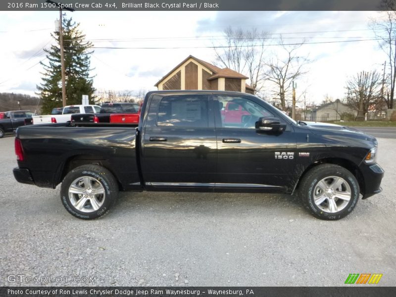 Brilliant Black Crystal Pearl / Black 2016 Ram 1500 Sport Crew Cab 4x4