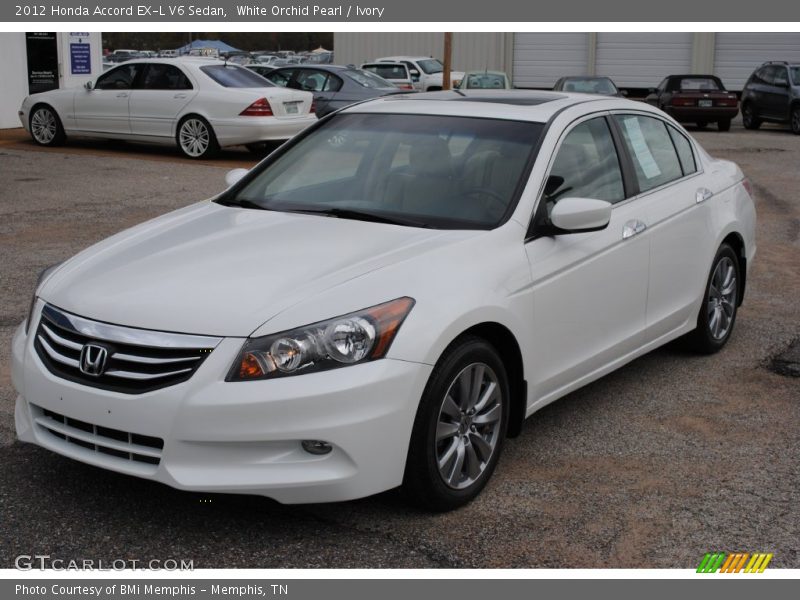 White Orchid Pearl / Ivory 2012 Honda Accord EX-L V6 Sedan