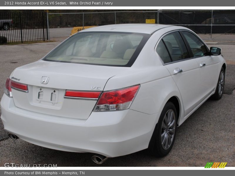 White Orchid Pearl / Ivory 2012 Honda Accord EX-L V6 Sedan