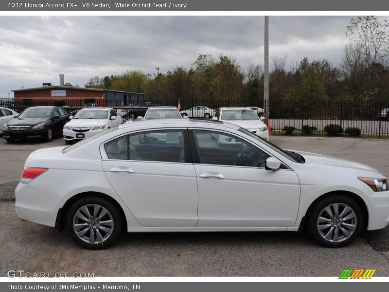 White Orchid Pearl / Ivory 2012 Honda Accord EX-L V6 Sedan