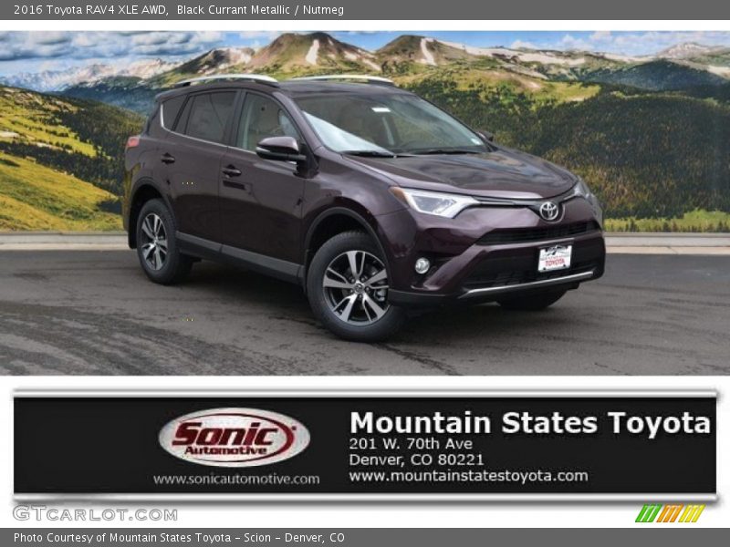 Black Currant Metallic / Nutmeg 2016 Toyota RAV4 XLE AWD