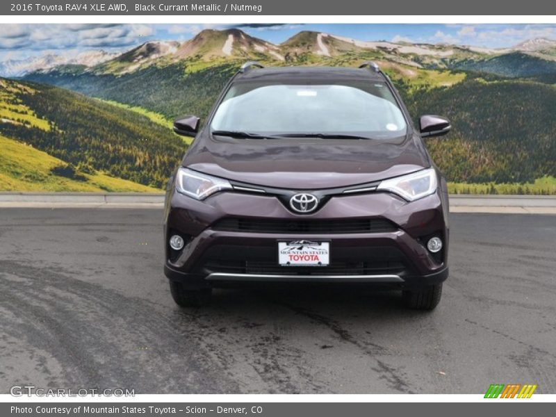 Black Currant Metallic / Nutmeg 2016 Toyota RAV4 XLE AWD