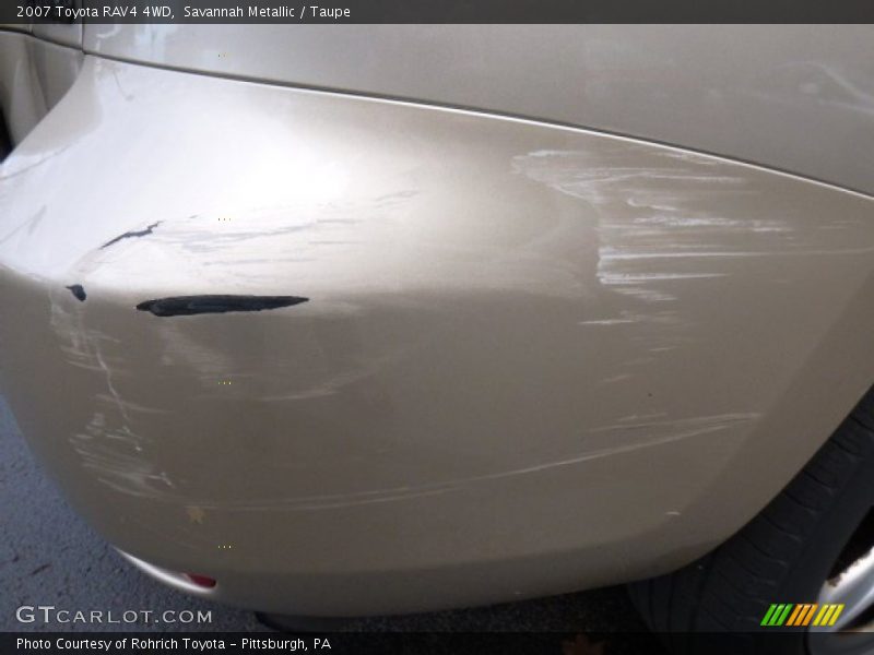 Savannah Metallic / Taupe 2007 Toyota RAV4 4WD