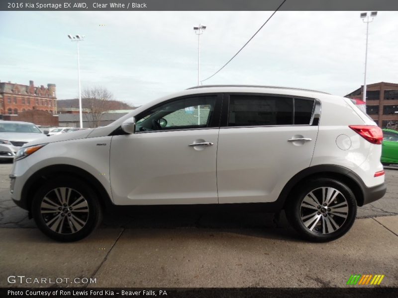 Clear White / Black 2016 Kia Sportage EX AWD