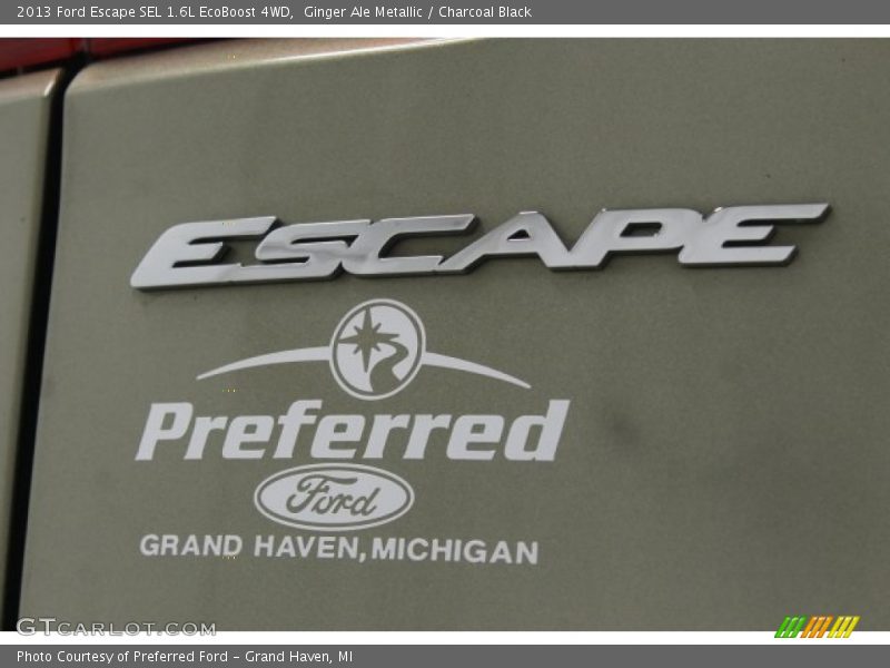 Ginger Ale Metallic / Charcoal Black 2013 Ford Escape SEL 1.6L EcoBoost 4WD