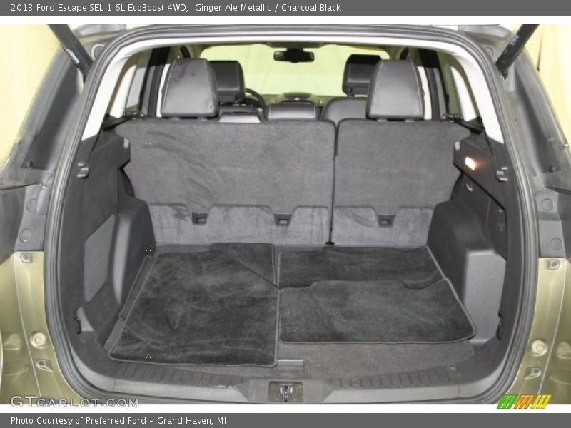 Ginger Ale Metallic / Charcoal Black 2013 Ford Escape SEL 1.6L EcoBoost 4WD