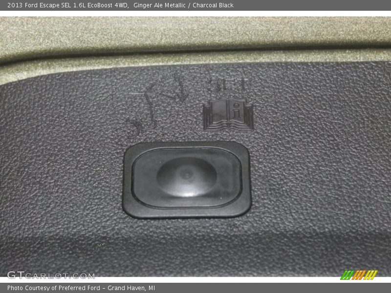 Ginger Ale Metallic / Charcoal Black 2013 Ford Escape SEL 1.6L EcoBoost 4WD
