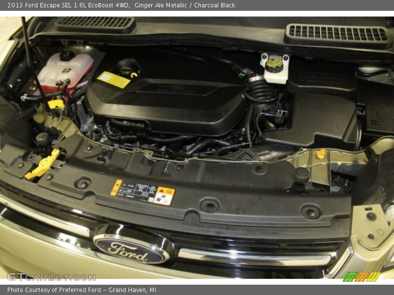Ginger Ale Metallic / Charcoal Black 2013 Ford Escape SEL 1.6L EcoBoost 4WD