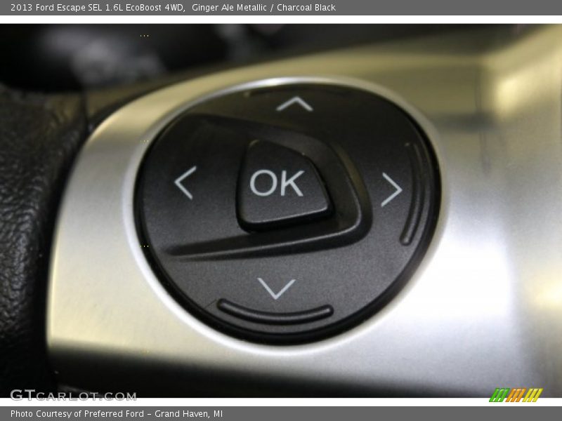 Ginger Ale Metallic / Charcoal Black 2013 Ford Escape SEL 1.6L EcoBoost 4WD