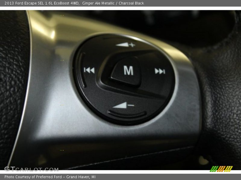 Ginger Ale Metallic / Charcoal Black 2013 Ford Escape SEL 1.6L EcoBoost 4WD