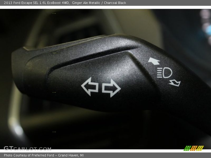Ginger Ale Metallic / Charcoal Black 2013 Ford Escape SEL 1.6L EcoBoost 4WD