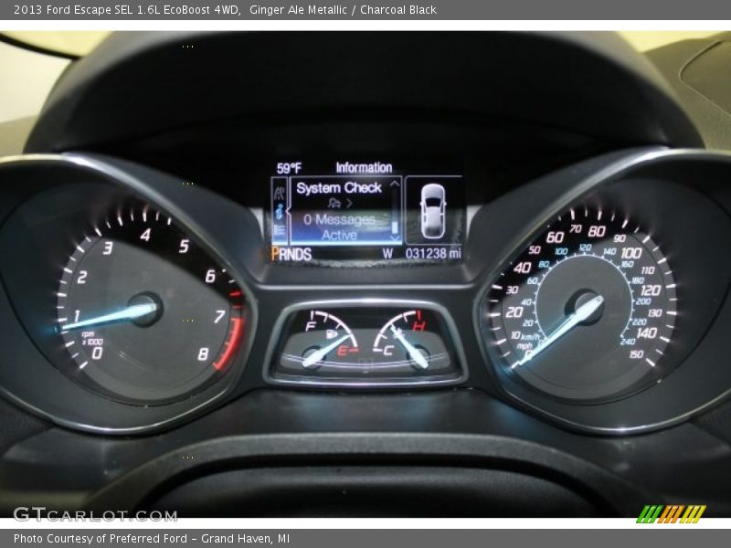 Ginger Ale Metallic / Charcoal Black 2013 Ford Escape SEL 1.6L EcoBoost 4WD