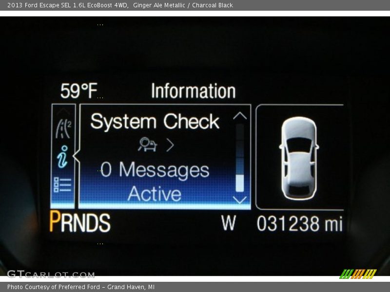 Ginger Ale Metallic / Charcoal Black 2013 Ford Escape SEL 1.6L EcoBoost 4WD