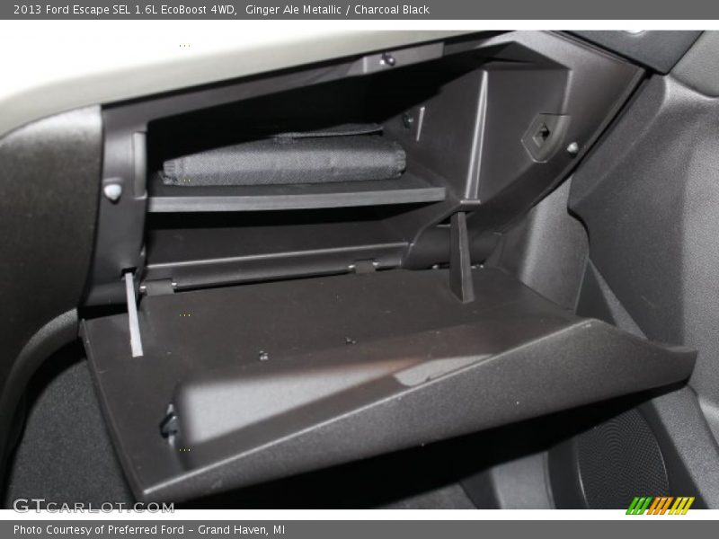 Ginger Ale Metallic / Charcoal Black 2013 Ford Escape SEL 1.6L EcoBoost 4WD