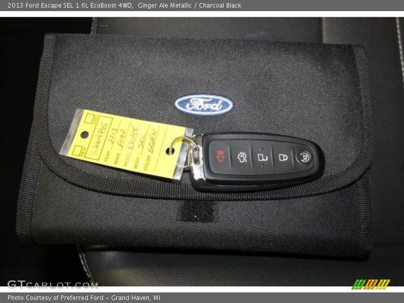 Ginger Ale Metallic / Charcoal Black 2013 Ford Escape SEL 1.6L EcoBoost 4WD