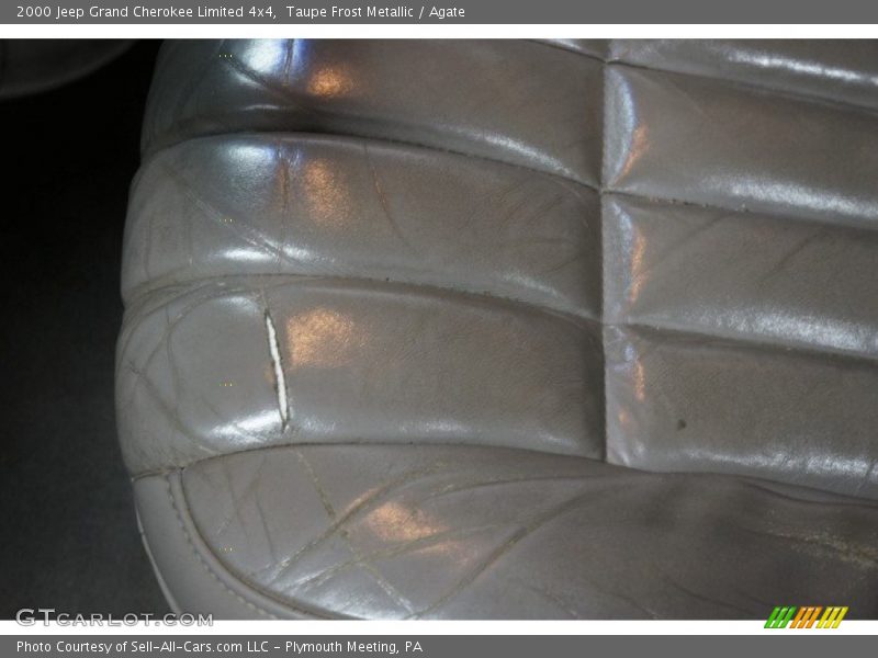 Taupe Frost Metallic / Agate 2000 Jeep Grand Cherokee Limited 4x4