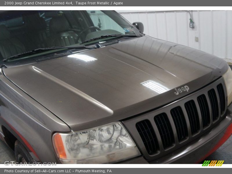 Taupe Frost Metallic / Agate 2000 Jeep Grand Cherokee Limited 4x4