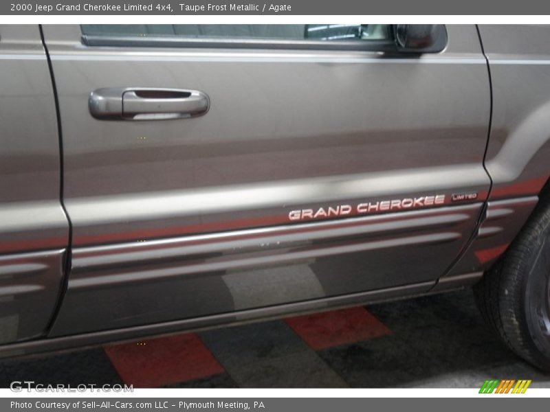 Taupe Frost Metallic / Agate 2000 Jeep Grand Cherokee Limited 4x4