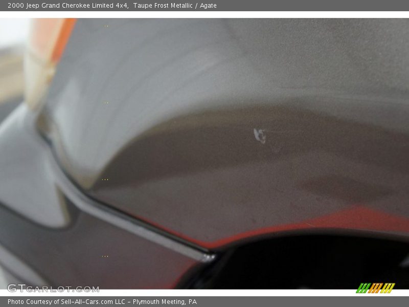 Taupe Frost Metallic / Agate 2000 Jeep Grand Cherokee Limited 4x4