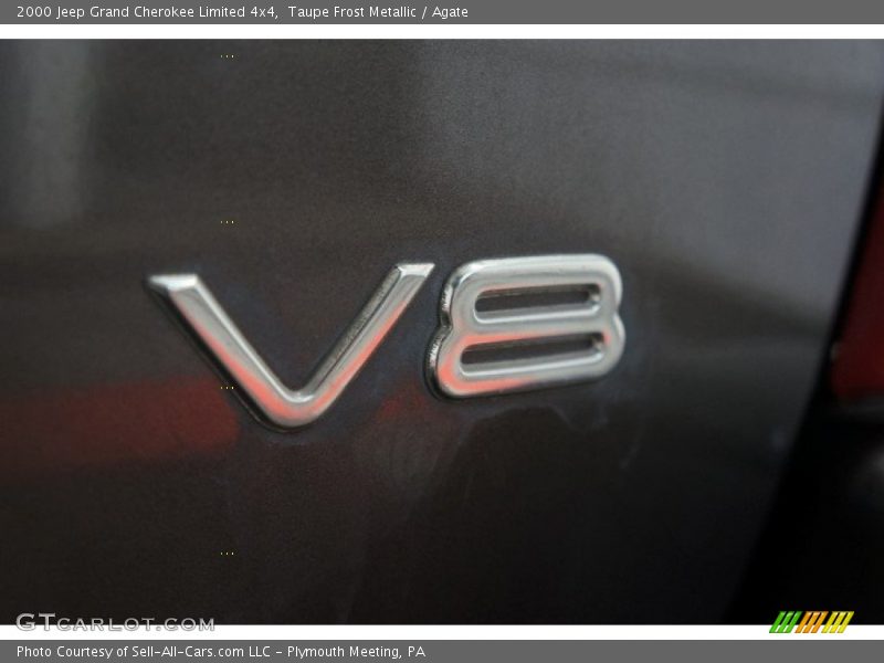 Taupe Frost Metallic / Agate 2000 Jeep Grand Cherokee Limited 4x4