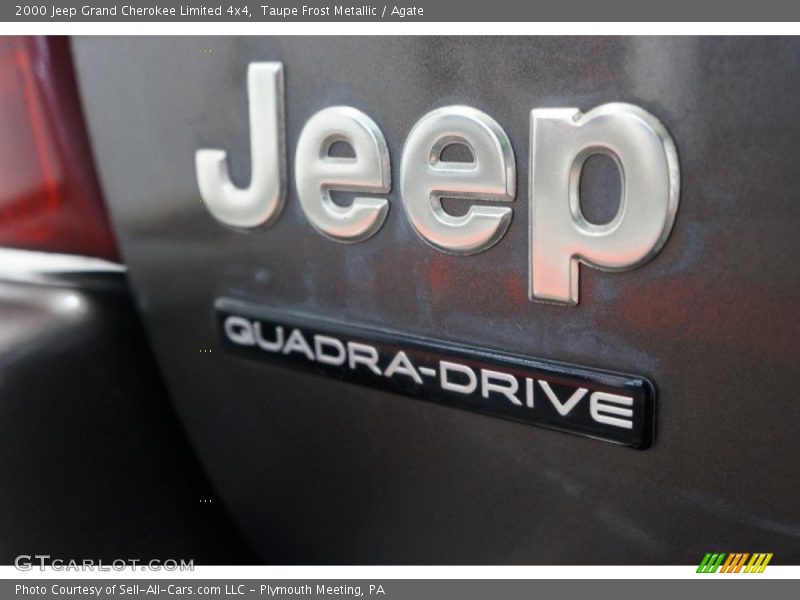 Taupe Frost Metallic / Agate 2000 Jeep Grand Cherokee Limited 4x4